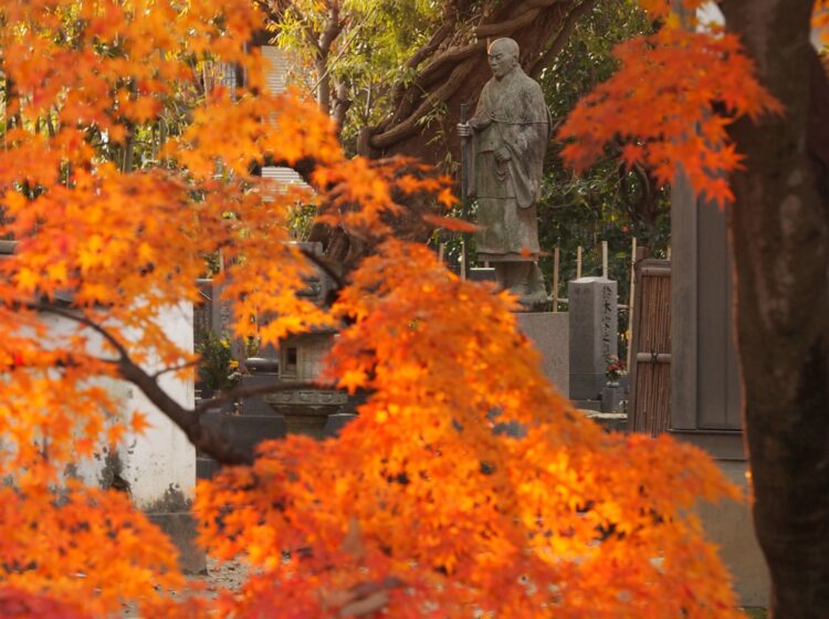 京都や香嵐渓の紅葉にも負けてません